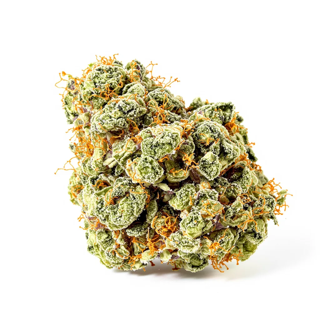 Green Queen cannabis plant in flowering stage — 60-100 cm autoflower