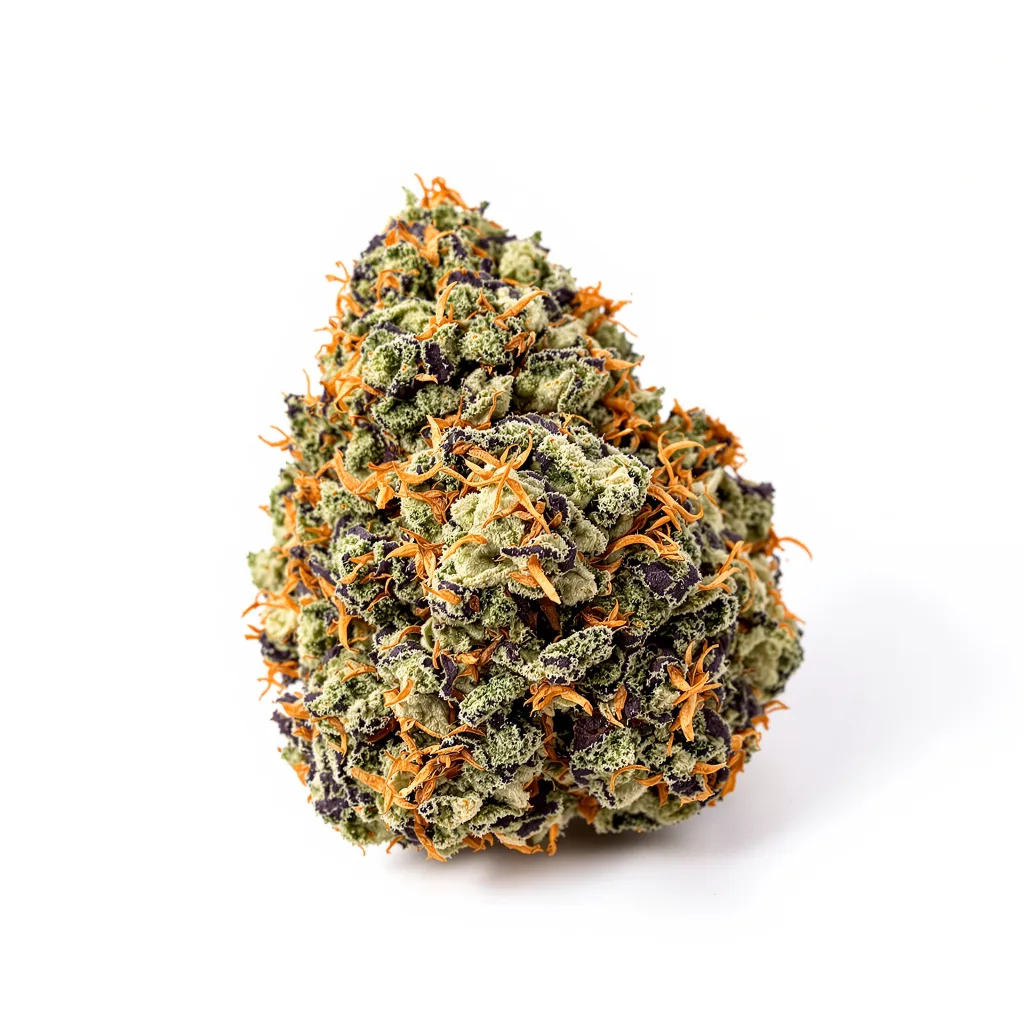 Grimace cannabis plant in flowering stage — 90-130 cm feminised