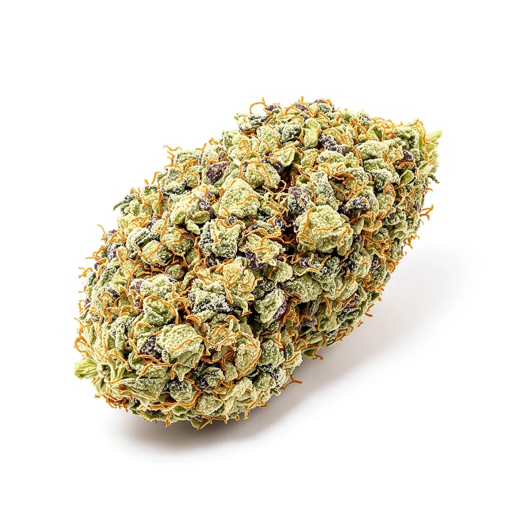 Gupta Kush cannabis plant in flowering stage — 60-100 cm autoflower