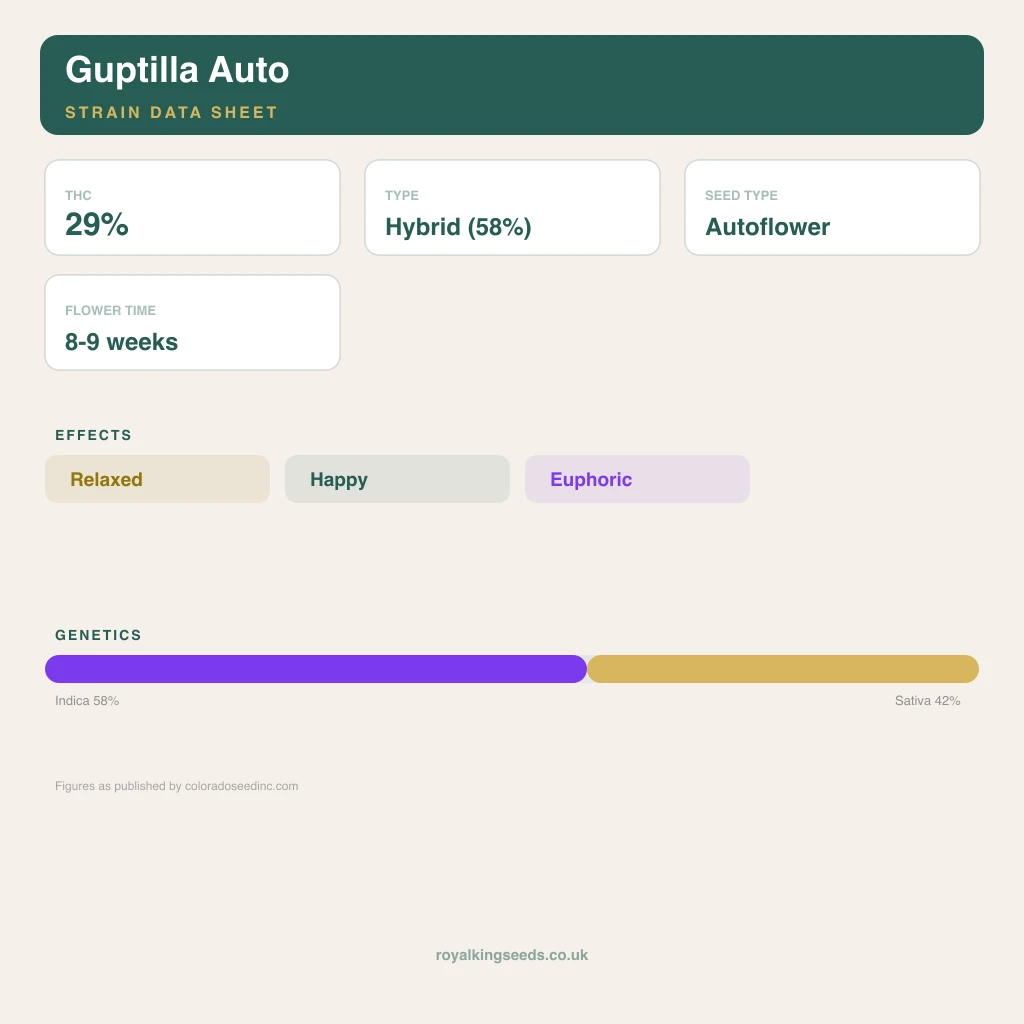Guptilla 58% indica / 42% sativa flower with visible trichomes
