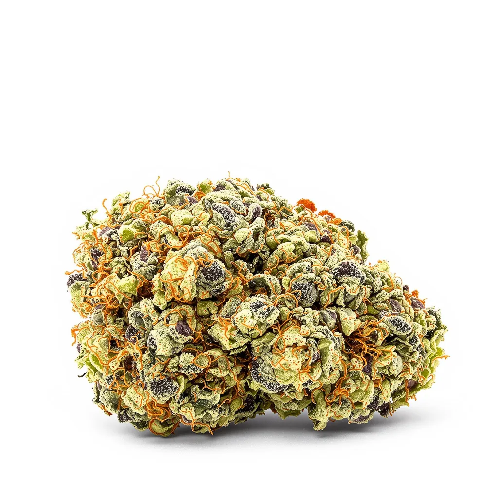 Han Burger cannabis plant in flowering stage — 120-180 cm feminised