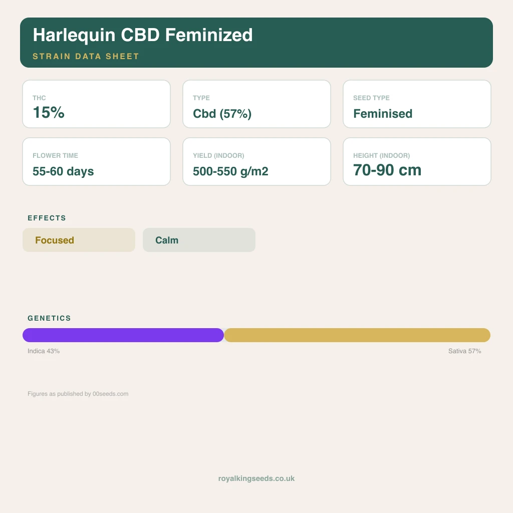Harlequin CBD 43% indica / 57% sativa flower with visible trichomes