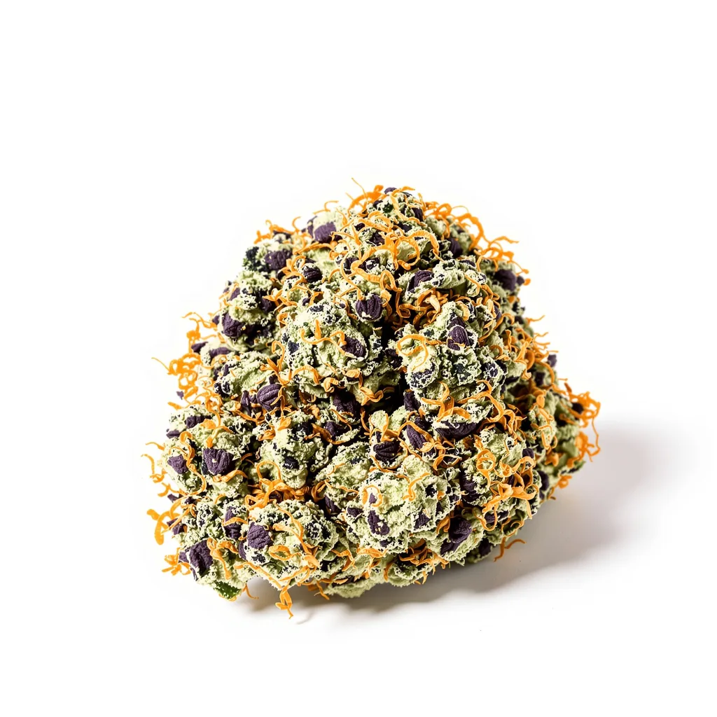 Hashbar OG cannabis plant in flowering stage — 60-100 cm autoflower