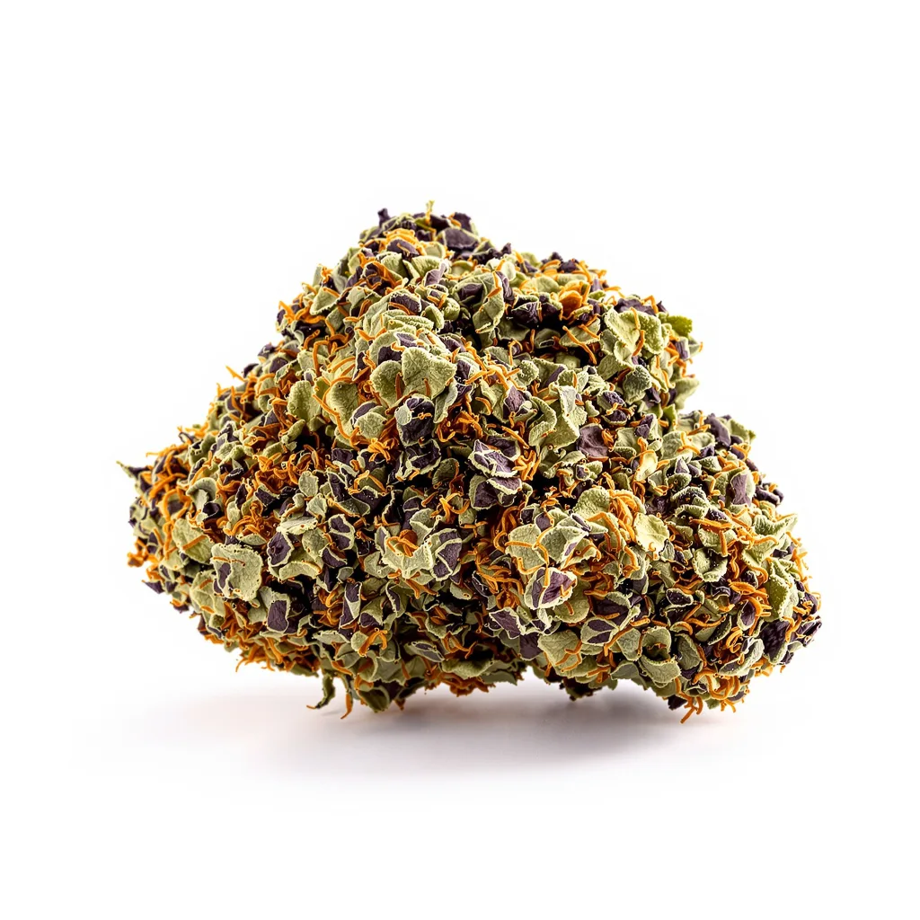 Hashbar OG cannabis plant in flowering stage — 90-130 cm feminised