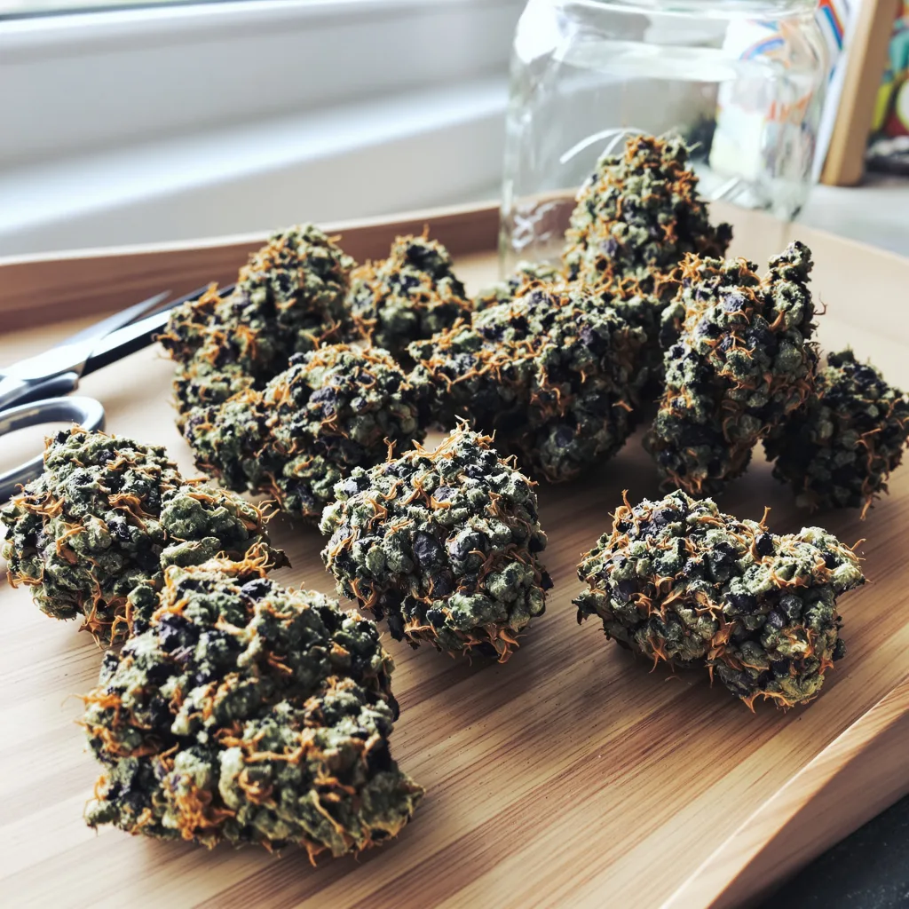 Hashberry 70% indica / 30% sativa flower with visible trichomes
