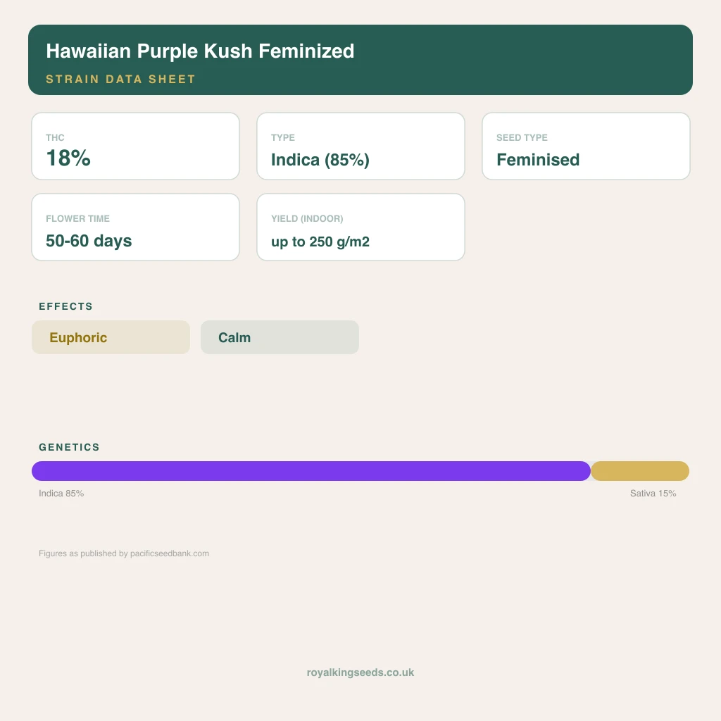 Hawaiian Purple Kush 85% indica / 15% sativa flower with visible trichomes