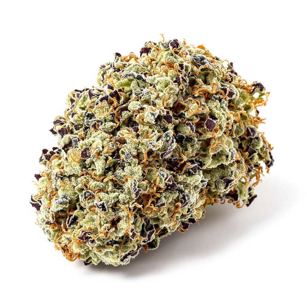 Headband cannabis plant in flowering stage — 120-180 cm feminised
