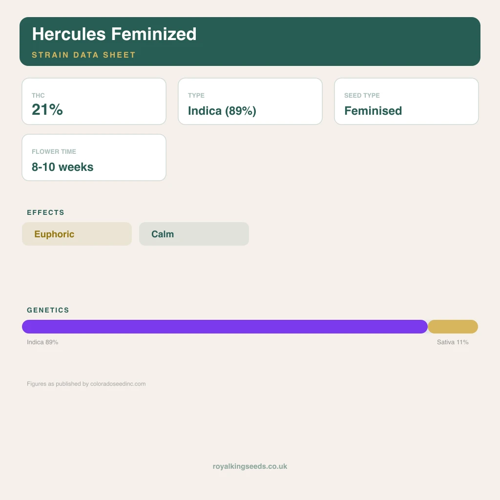 Hercules 89% indica / 11% sativa flower with visible trichomes