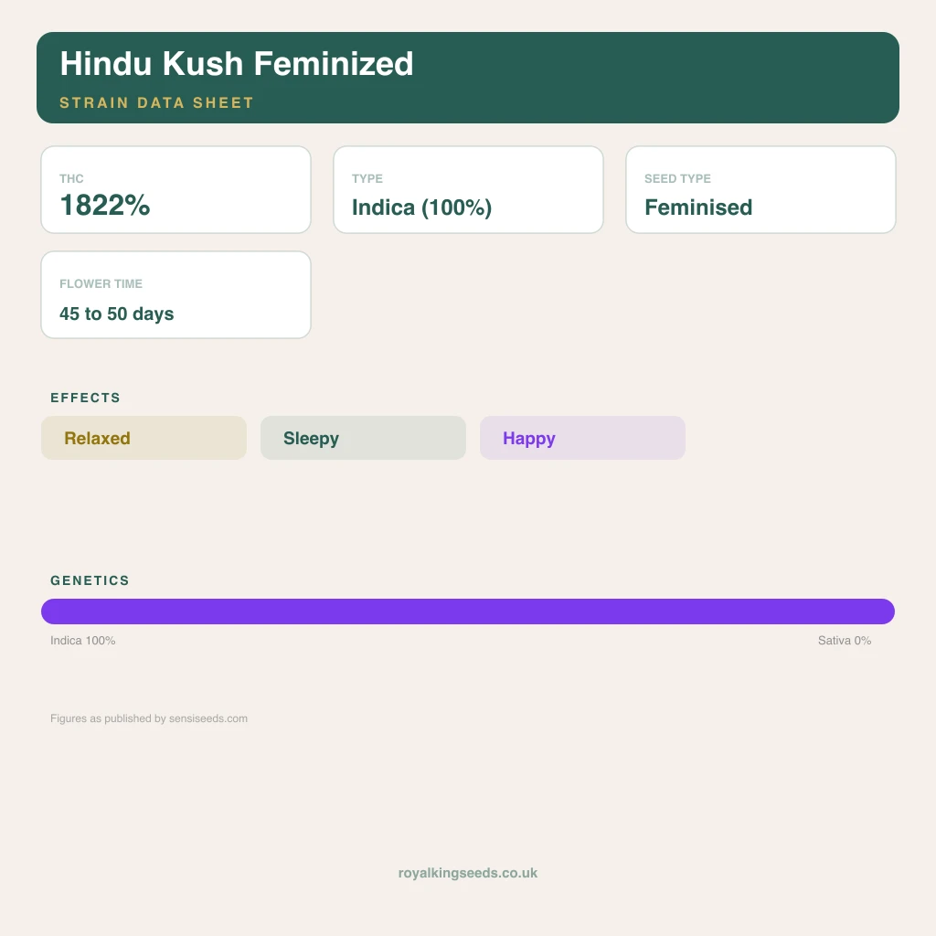 Hindu Kush 100% indica / 50% sativa flower with visible trichomes