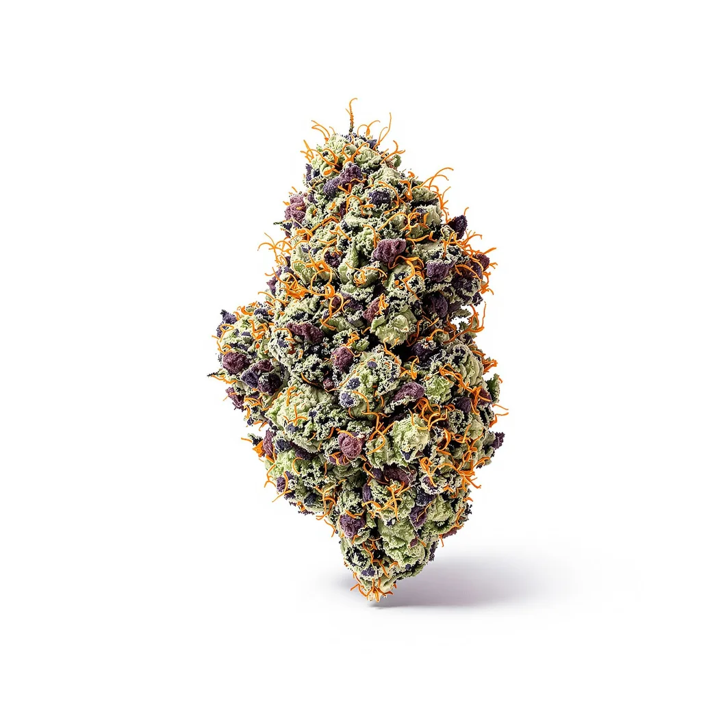 Honey Bananas cannabis plant in flowering stage — 90-130 cm feminised