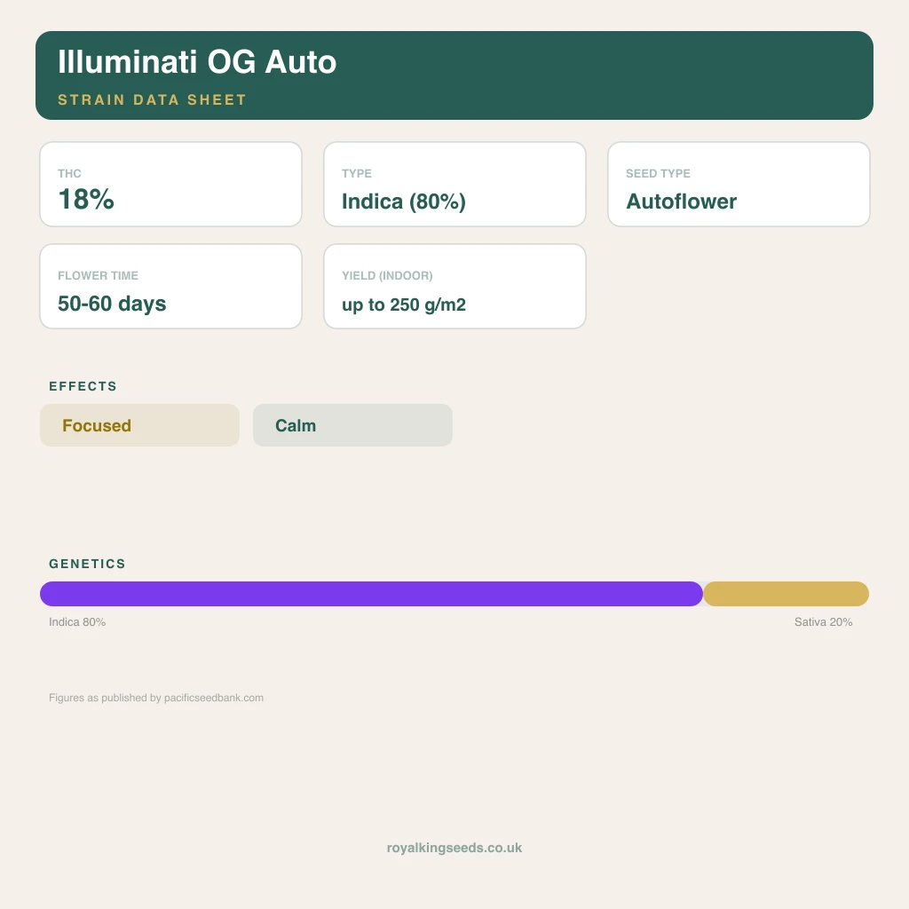 Illuminati OG 80% indica / 20% sativa flower with visible trichomes