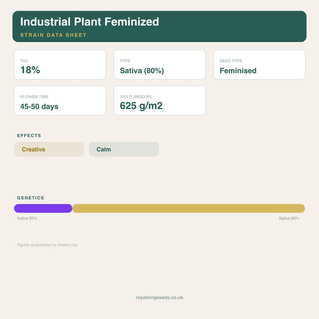 Industrial Plant 20% indica / 80% sativa flower with visible trichomes