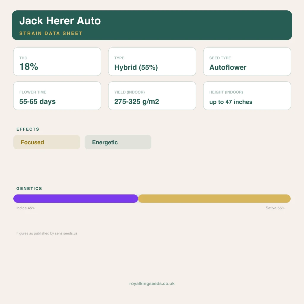 Jack Herer 45% indica / 55% sativa flower with visible trichomes