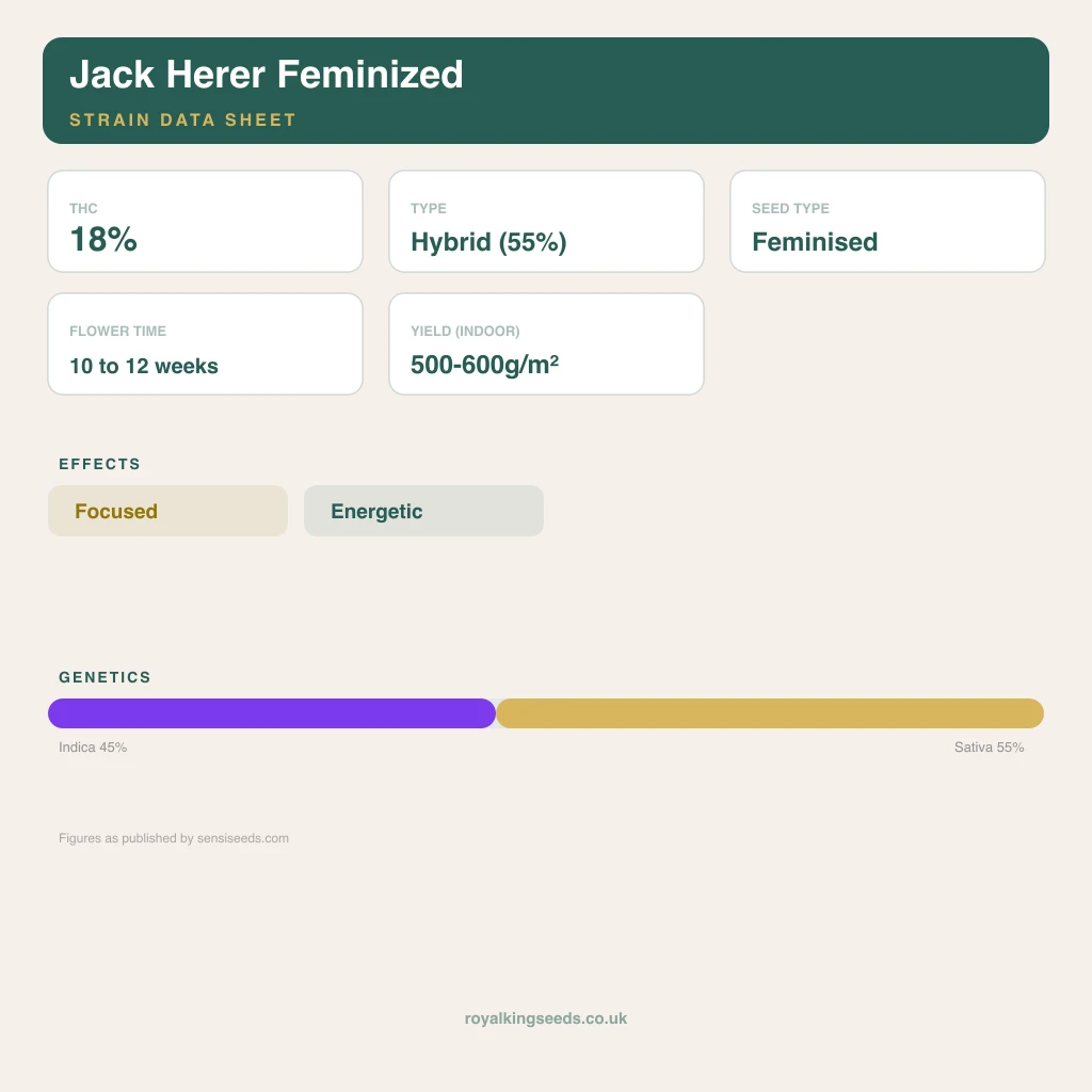 Jack Herer 45% indica / 55% sativa flower with visible trichomes