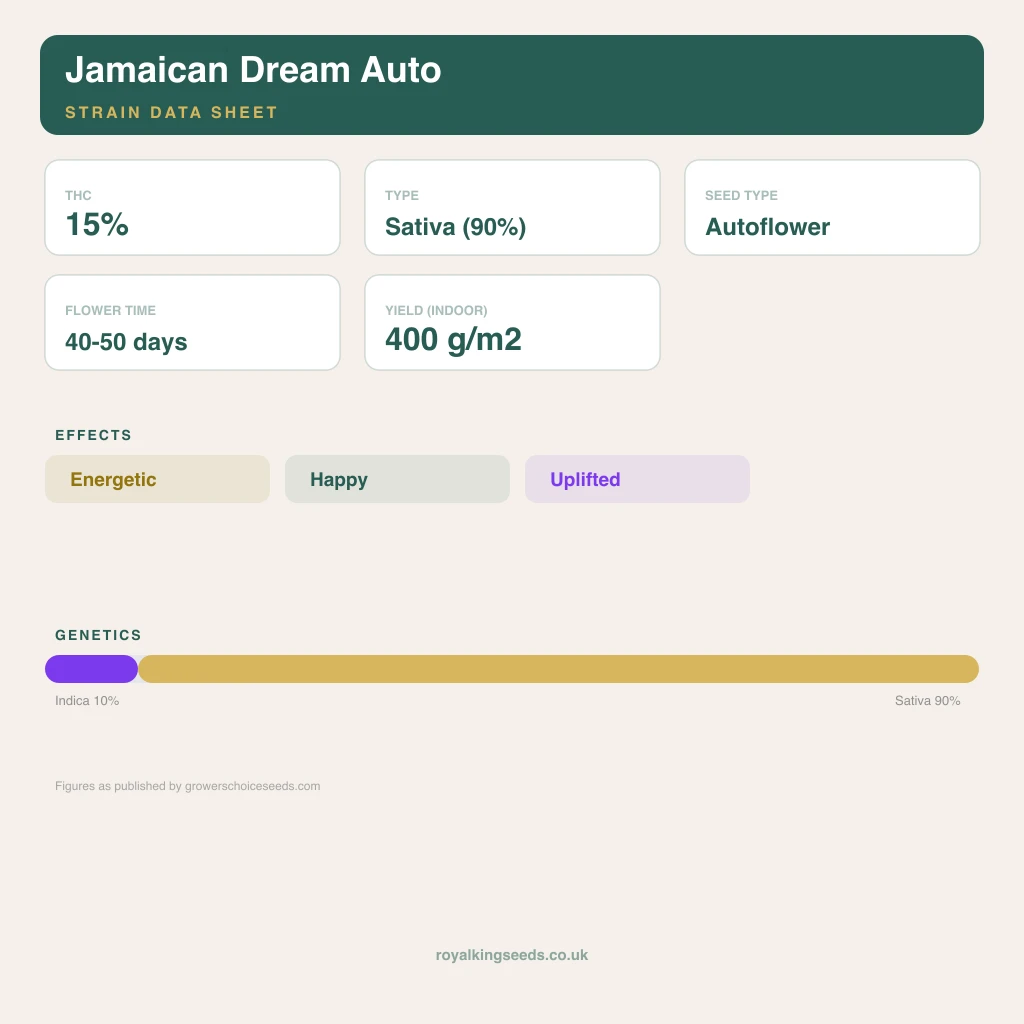 Jamaican Dream 10% indica / 90% sativa flower with visible trichomes