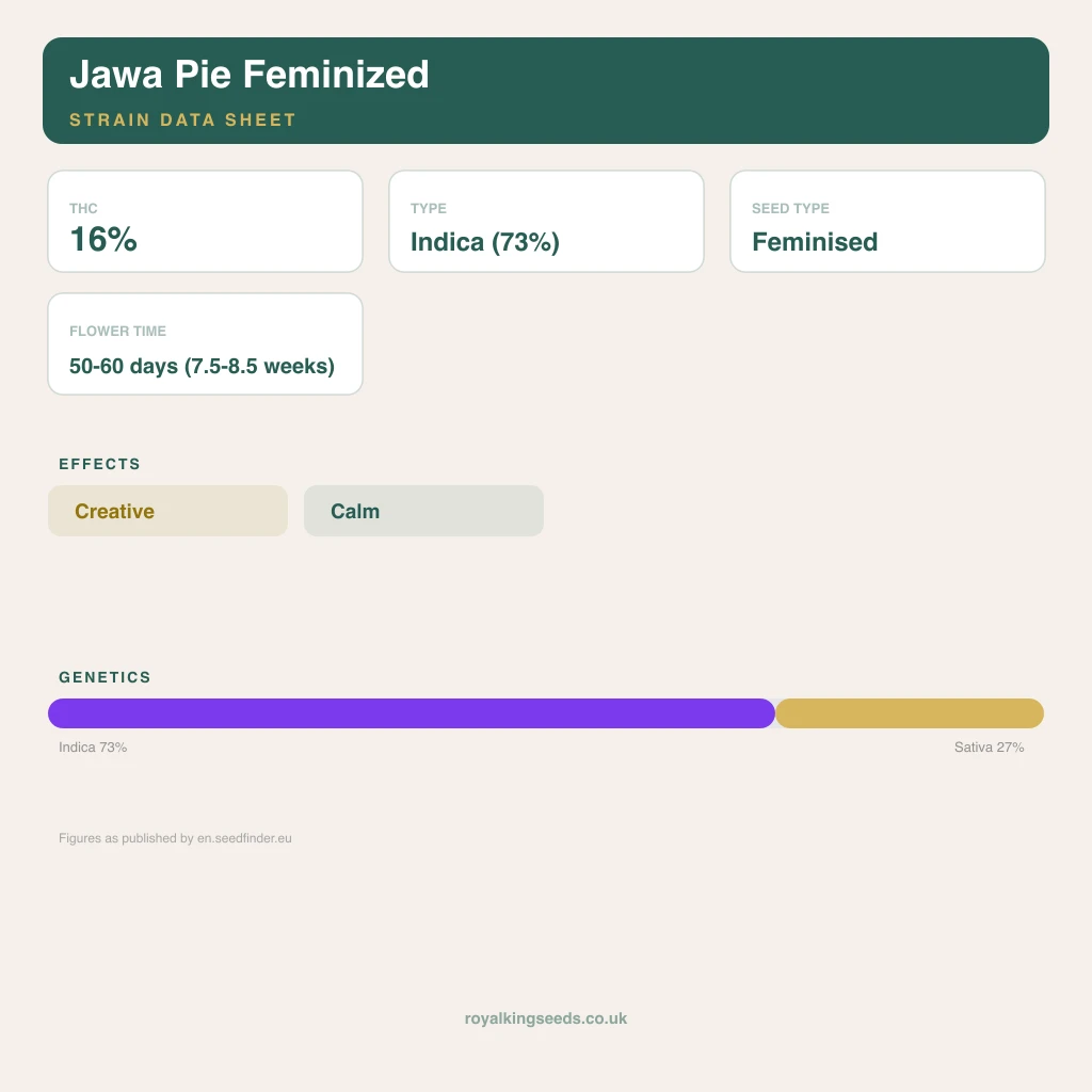 Jawa Pie 73% indica / 27% sativa flower with visible trichomes