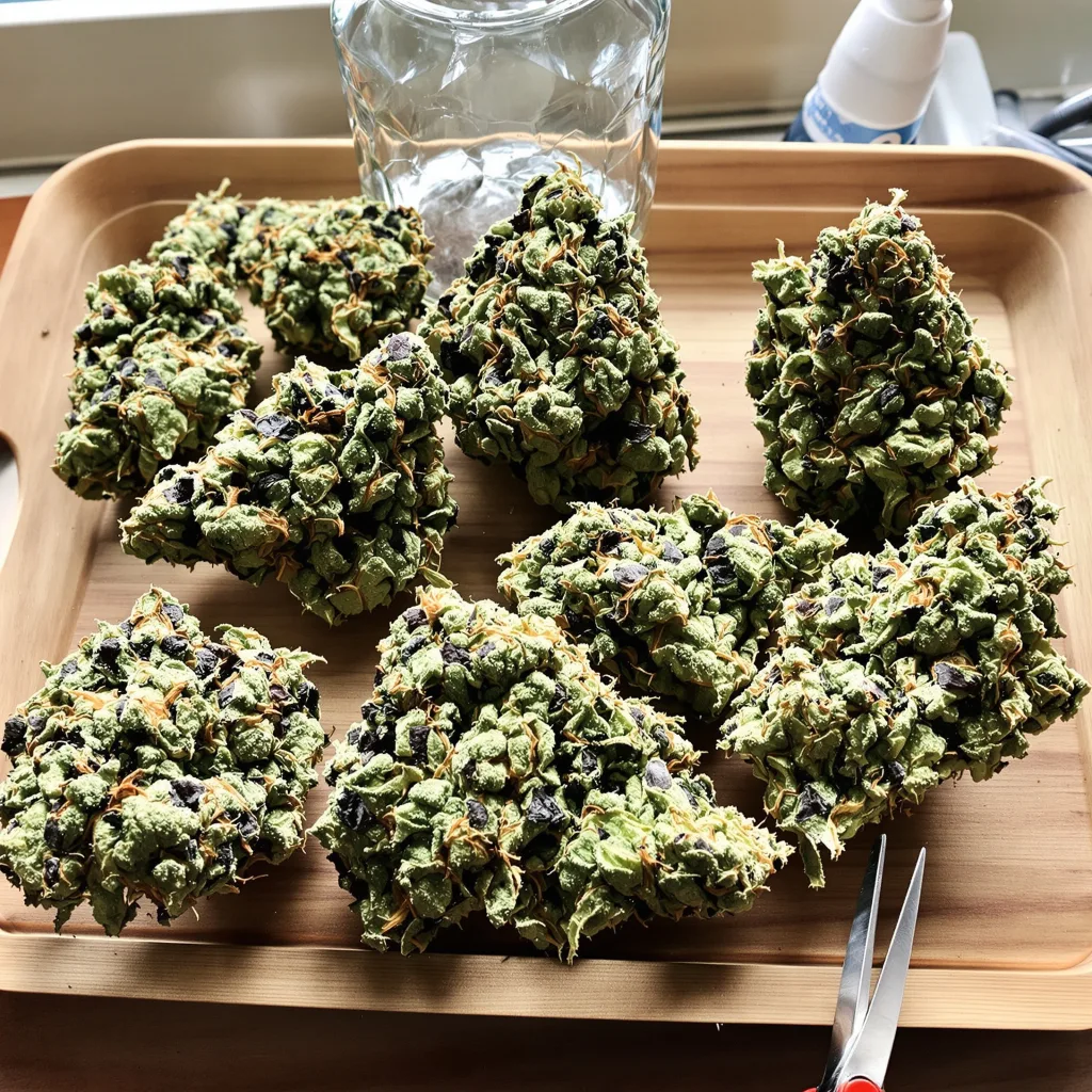 Jean Guy 40% indica / 60% sativa flower with visible trichomes