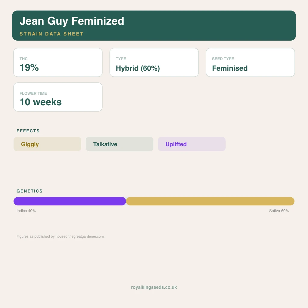 Jean Guy 40% indica / 60% sativa flower with visible trichomes