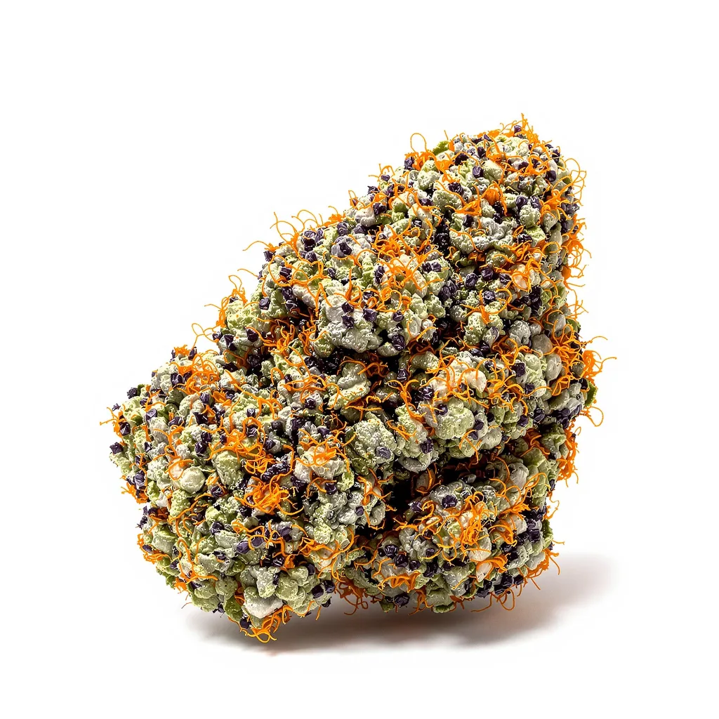 Jedi Cookies cannabis plant in flowering stage — 90-130 cm feminised