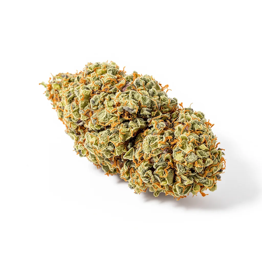 Jesus Juice cannabis plant in flowering stage — 120-180 cm feminised