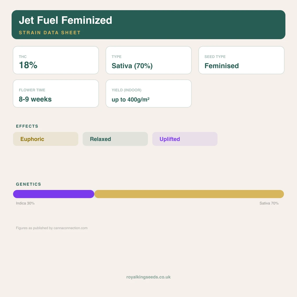 Jet Fuel 30% indica / 70% sativa flower with visible trichomes