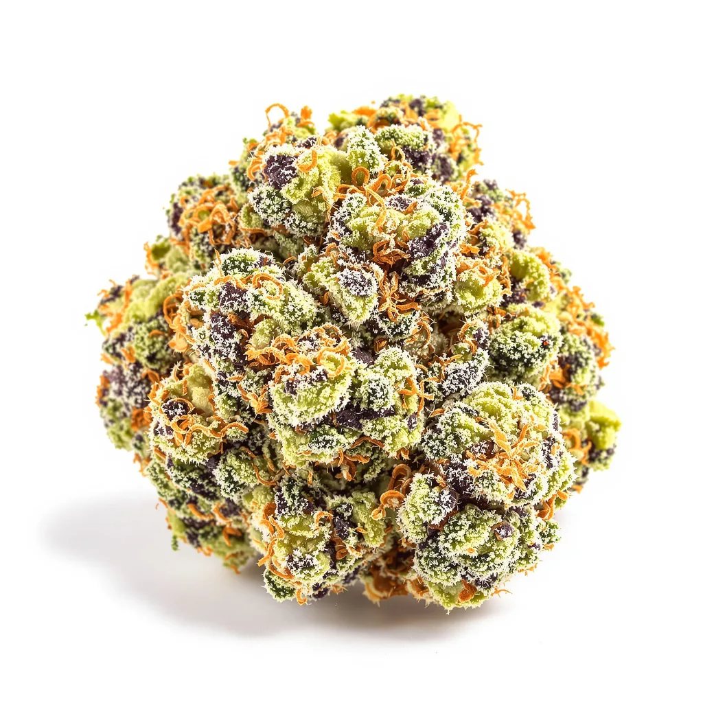 Juicy Fruit cannabis plant in flowering stage — 120-180 cm feminised