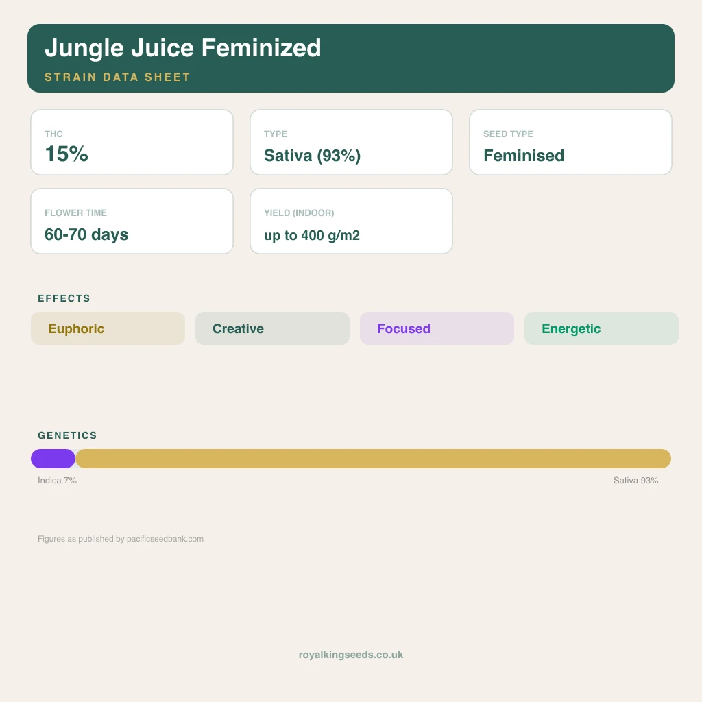 Jungle Juice 7% indica / 93% sativa flower with visible trichomes