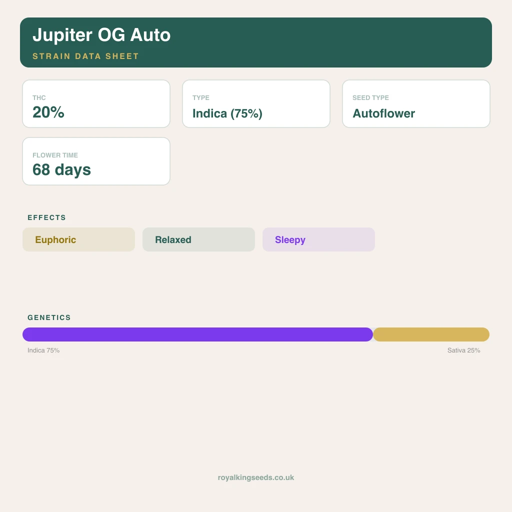 Jupiter OG 75% indica / 25% sativa flower with visible trichomes