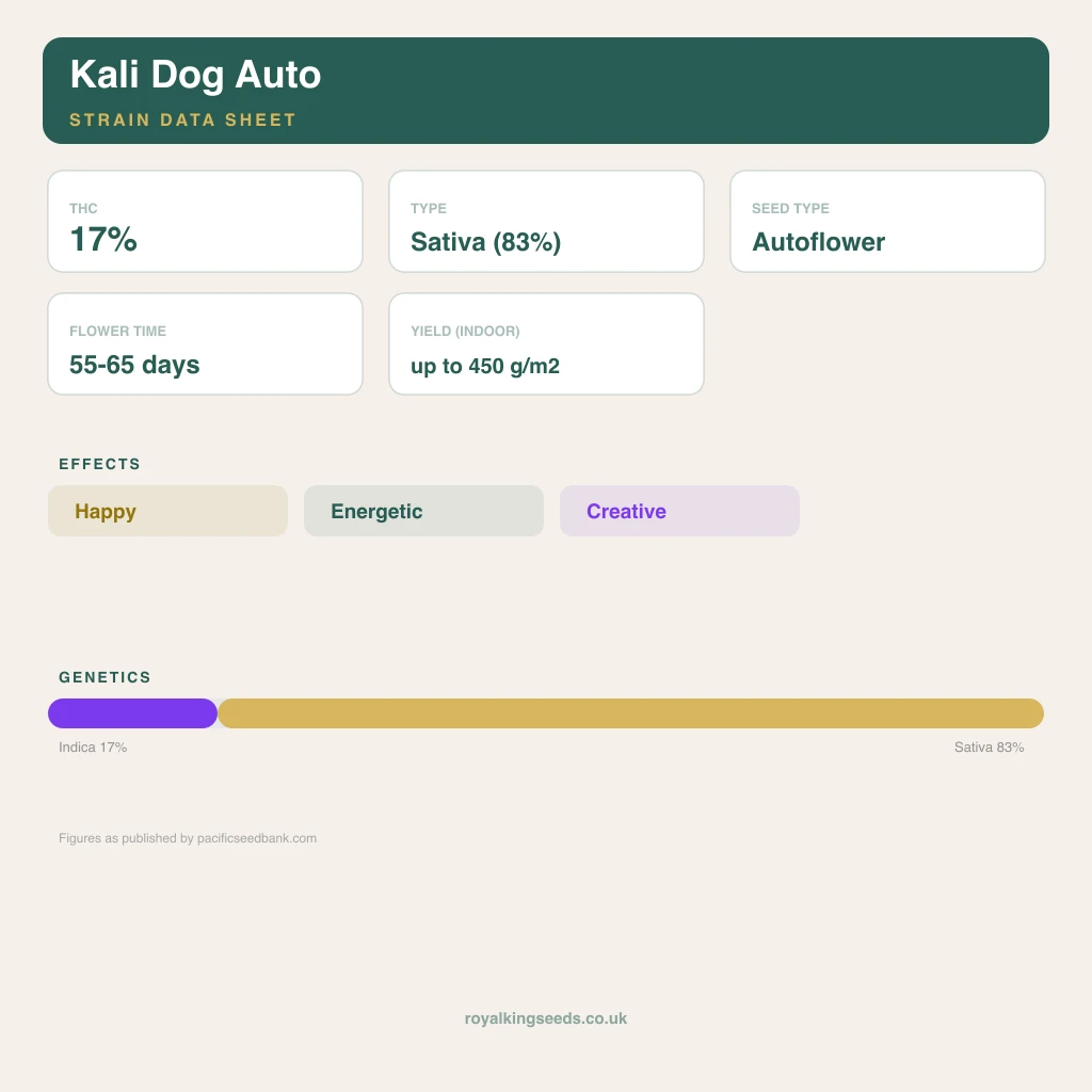 Kali Dog 17% indica / 83% sativa flower with visible trichomes