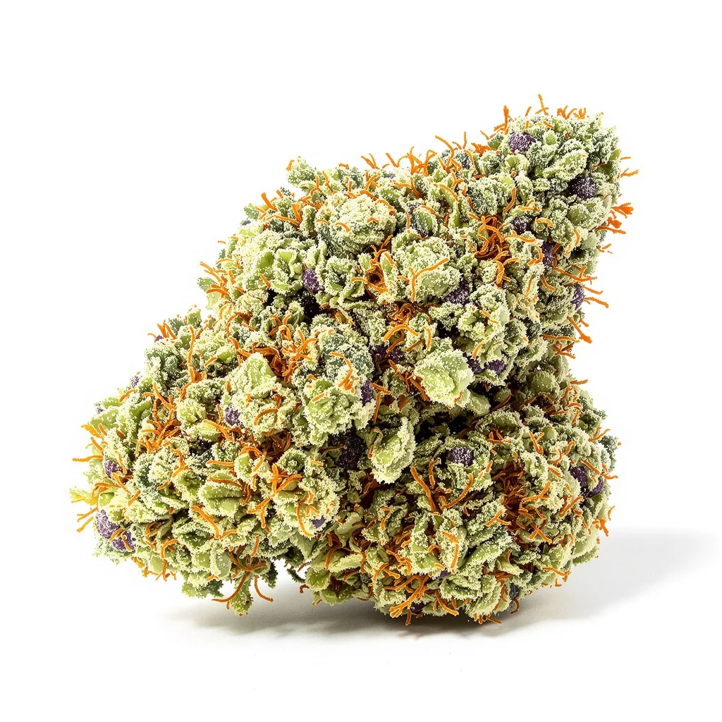 Killer Queen cannabis plant in flowering stage — 60-100 cm autoflower