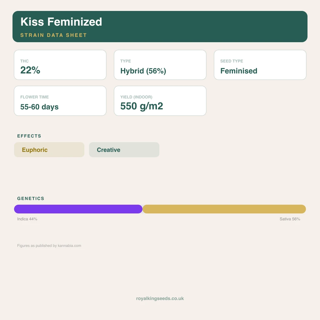 Kiss 44% indica / 56% sativa flower with visible trichomes