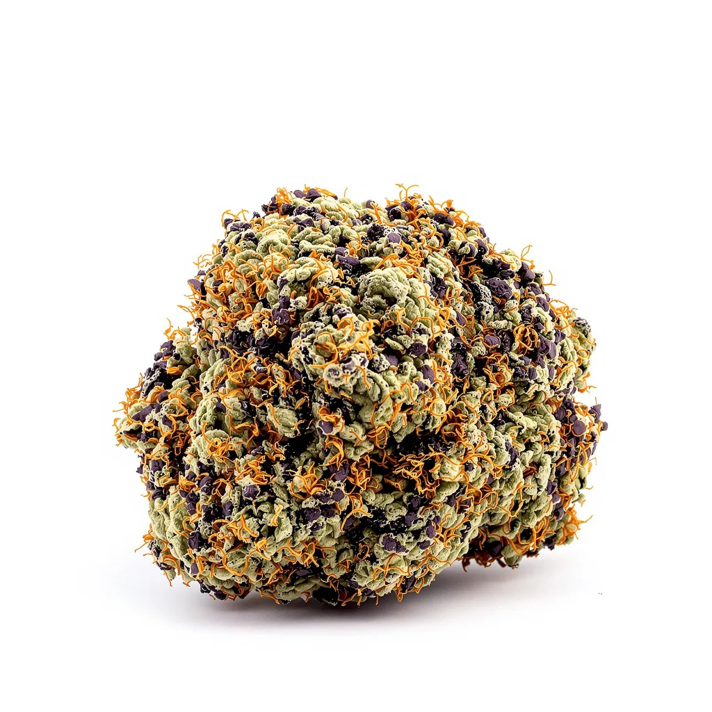 Kiwiskunk cannabis plant in flowering stage — 90-130 cm feminised