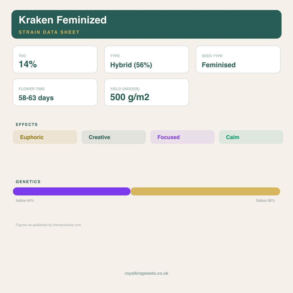 Kraken 44% indica / 56% sativa flower with visible trichomes