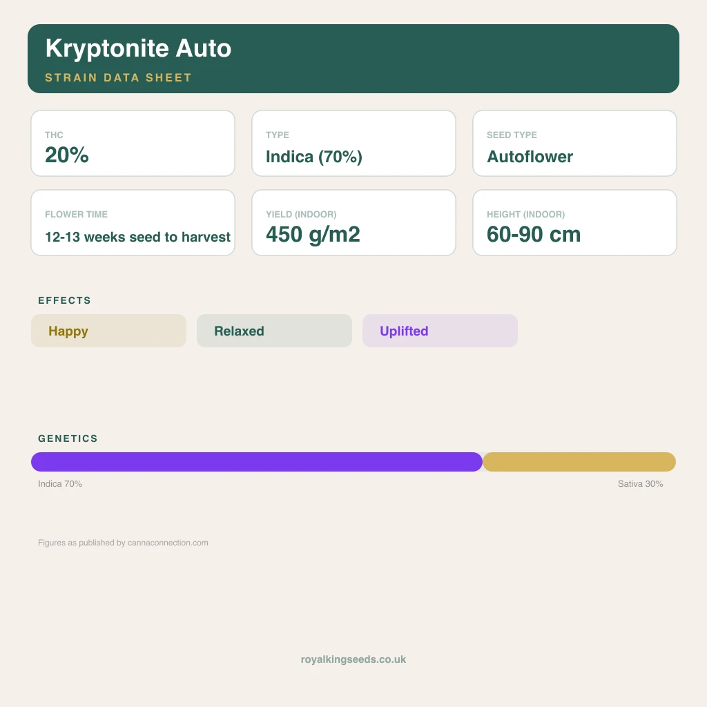 Kryptonite 70% indica / 20% sativa flower with visible trichomes