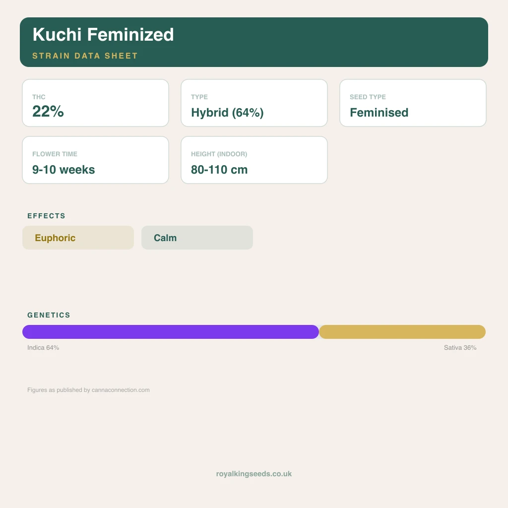 Kuchi 64% indica / 36% sativa flower with visible trichomes