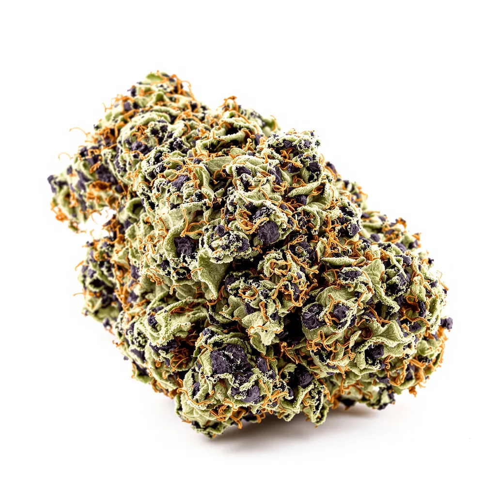 Kush Cake cannabis plant in flowering stage — 90-130 cm feminised