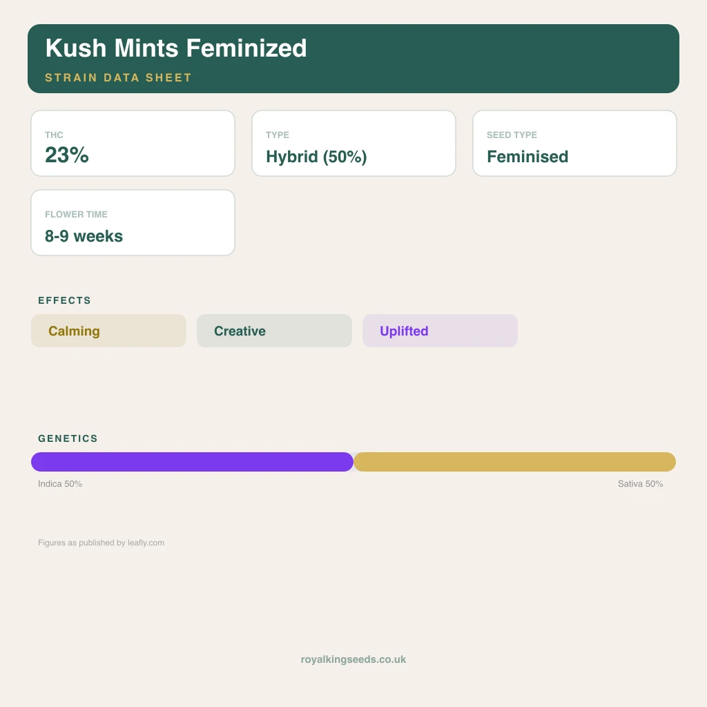 Kush Mints 50% indica / 50% sativa flower with visible trichomes