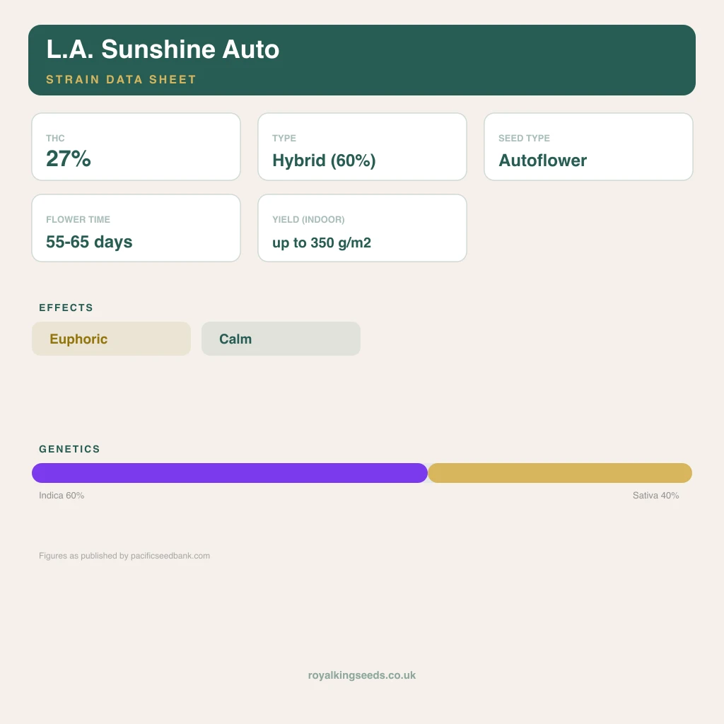 L.A. Sunshine 60% indica / 40% sativa flower with visible trichomes