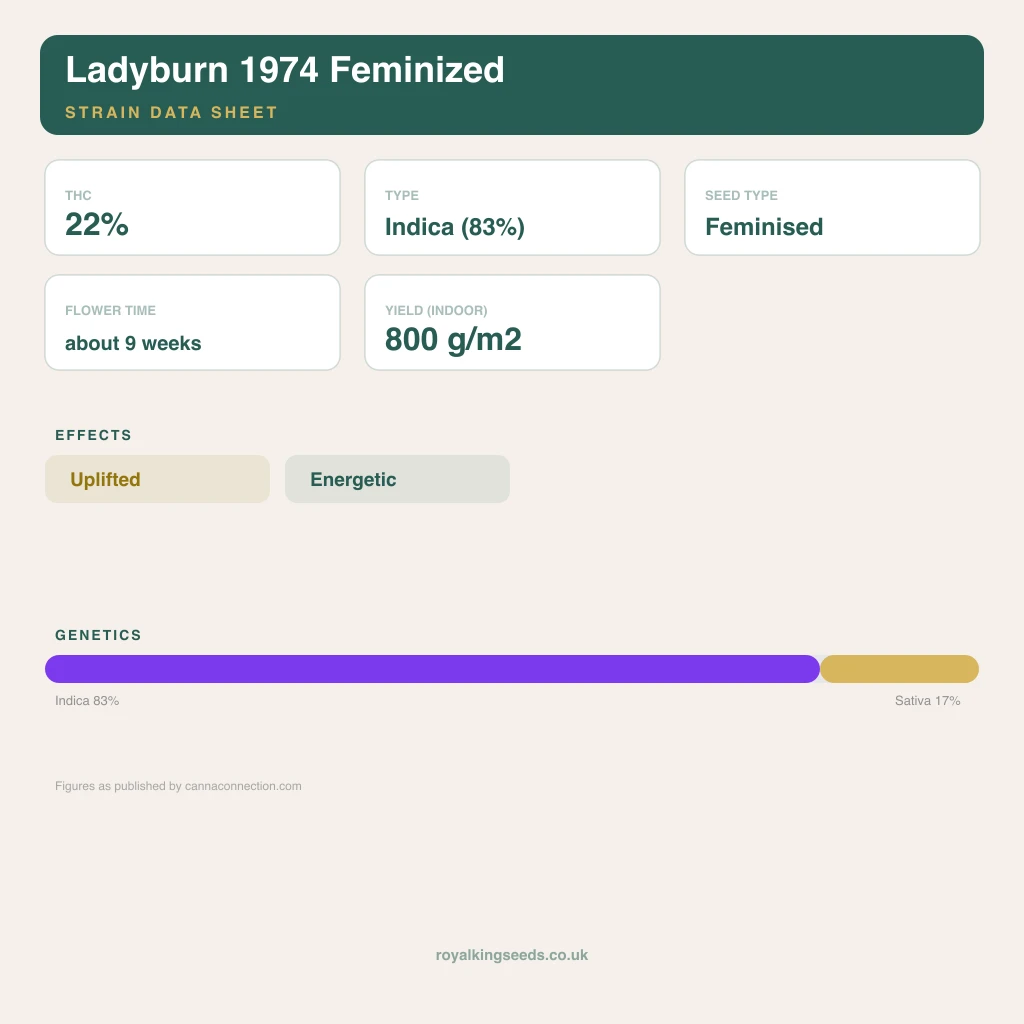 Ladyburn 1974 83% indica / 17% sativa flower with visible trichomes
