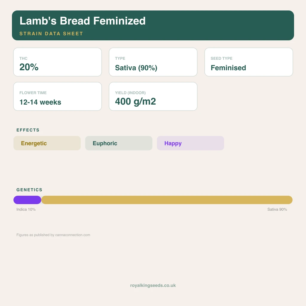 Lamb's Bread 10% indica / 90% sativa flower with visible trichomes