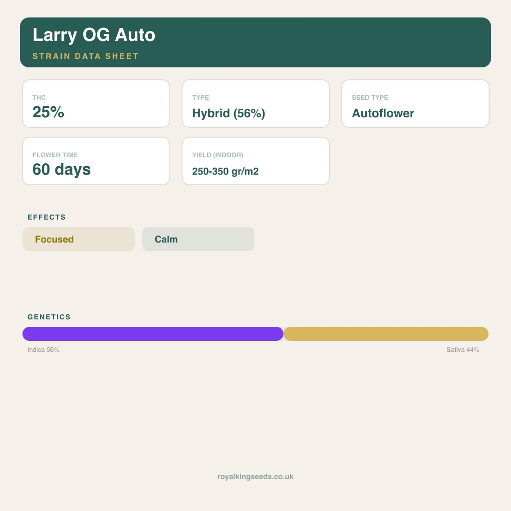 Larry OG 56% indica / 44% sativa flower with visible trichomes
