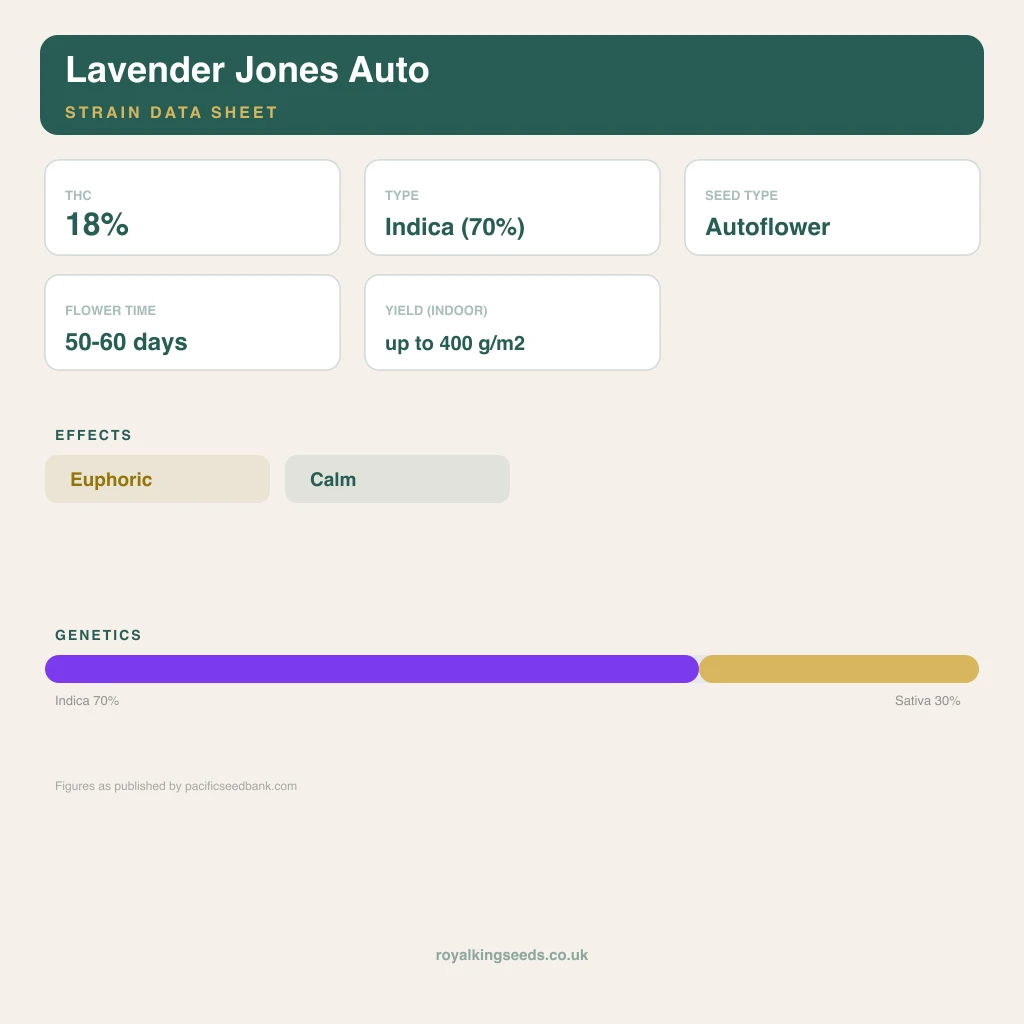 Lavender Jones 70% indica / 30% sativa flower with visible trichomes