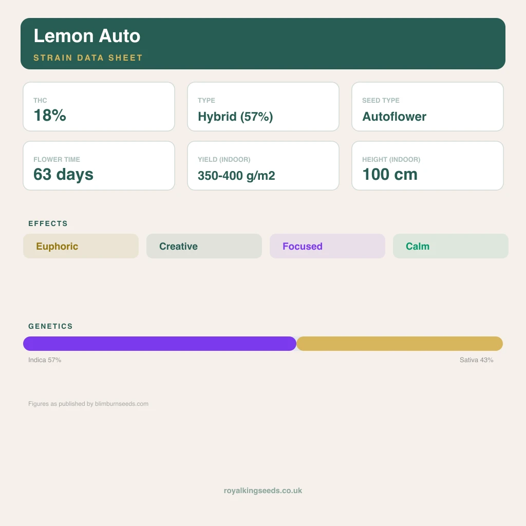 Lemon 57% indica / 43% sativa flower with visible trichomes