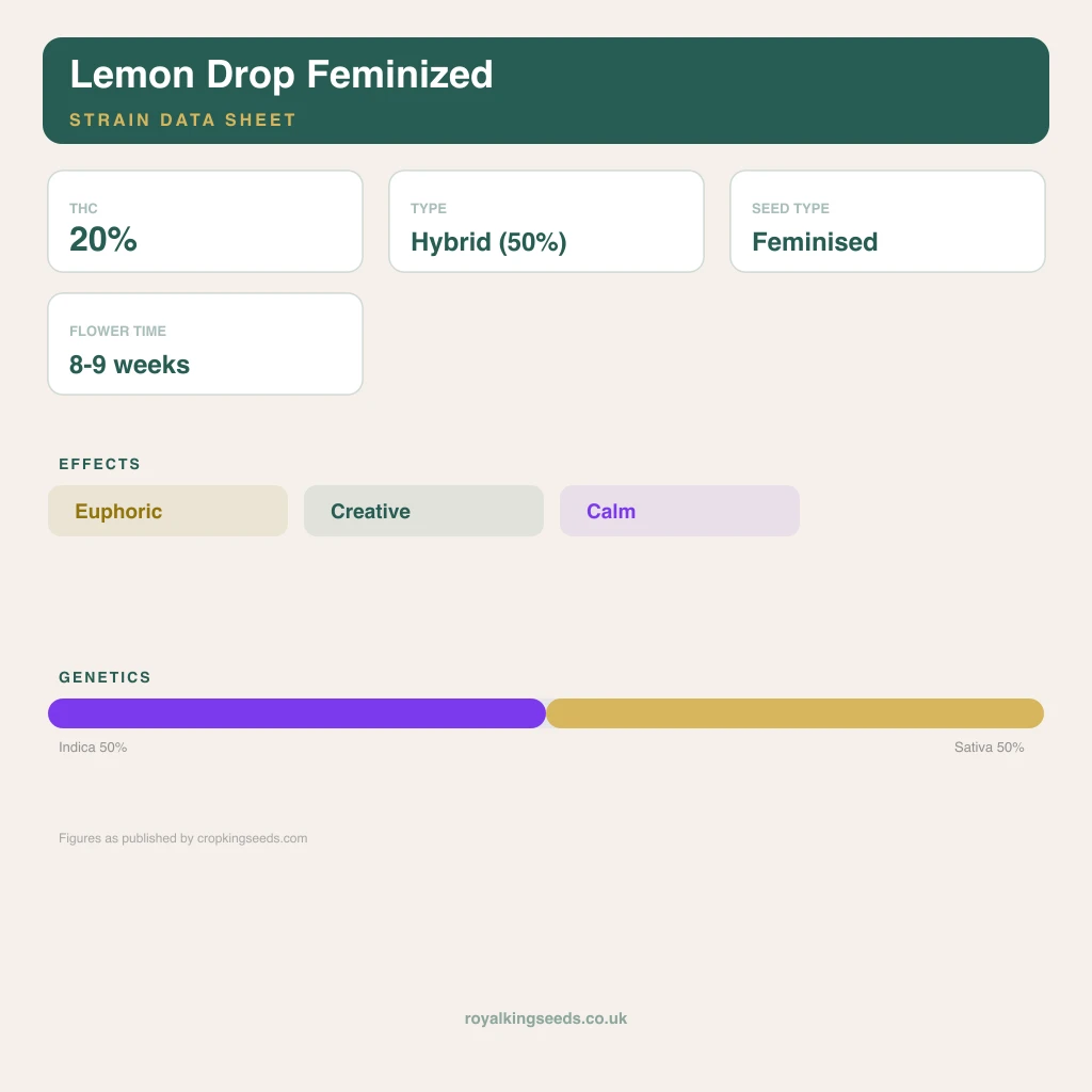 Lemon Drop 50% indica / 50% sativa flower with visible trichomes