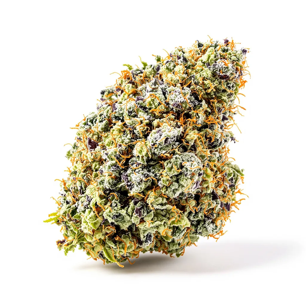 Lemon Drop cannabis plant in flowering stage — 120-180 cm feminised