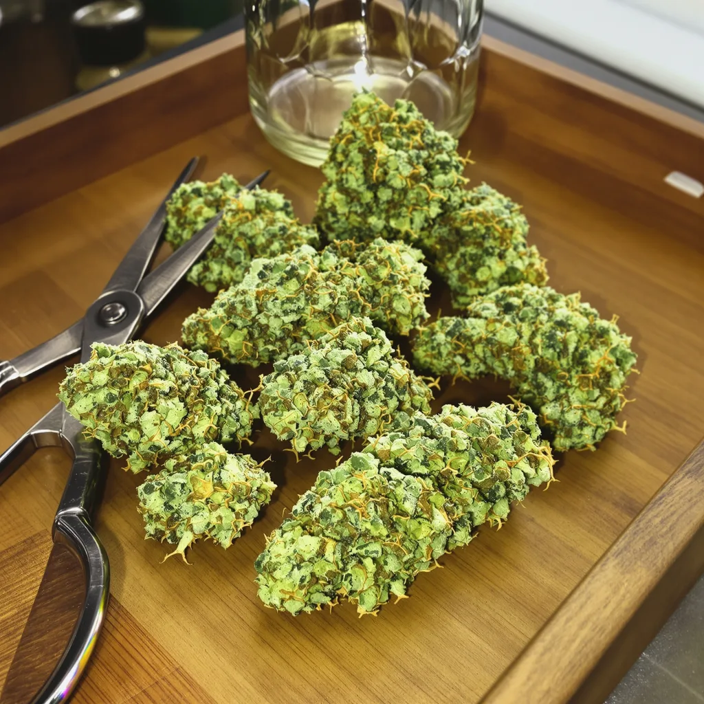 Lemon G 25% indica / 75% sativa flower with visible trichomes