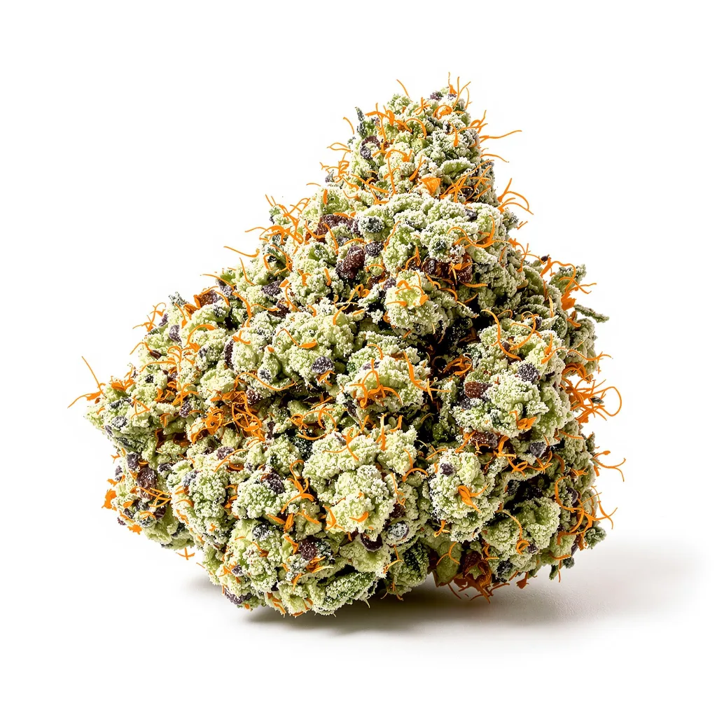 Lemon Kush cannabis plant in flowering stage — 120-180 cm feminised