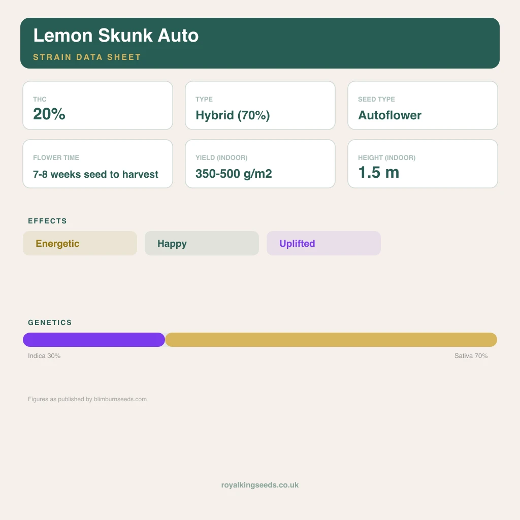 Lemon Skunk 30% indica / 60% sativa flower with visible trichomes