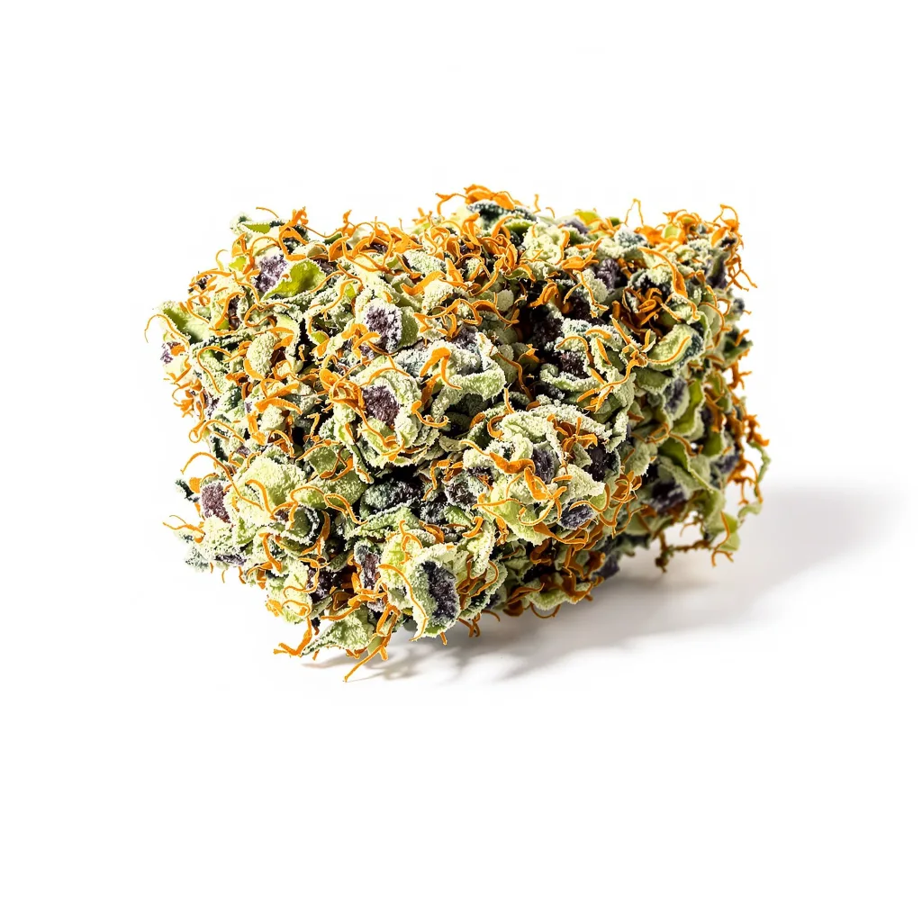 Lemon Skunk cannabis plant in flowering stage — 60-100 cm autoflower