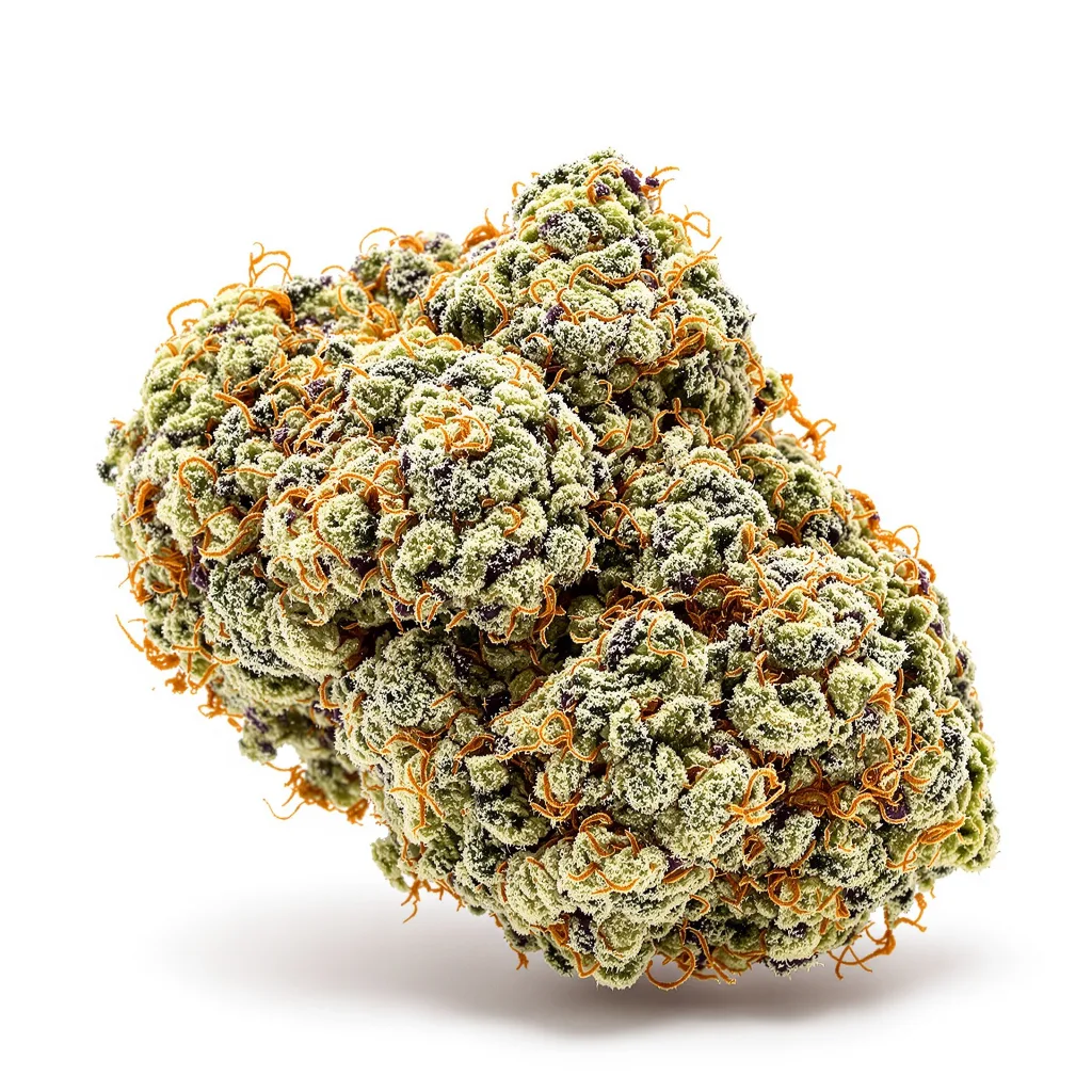Lemon Skunk cannabis plant in flowering stage — 120-180 cm feminised